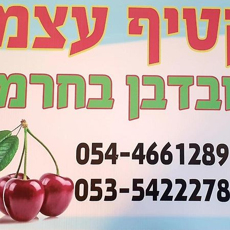 צימרים בגולן דובדבן בחרמון Mas'ada Buitenkant foto
