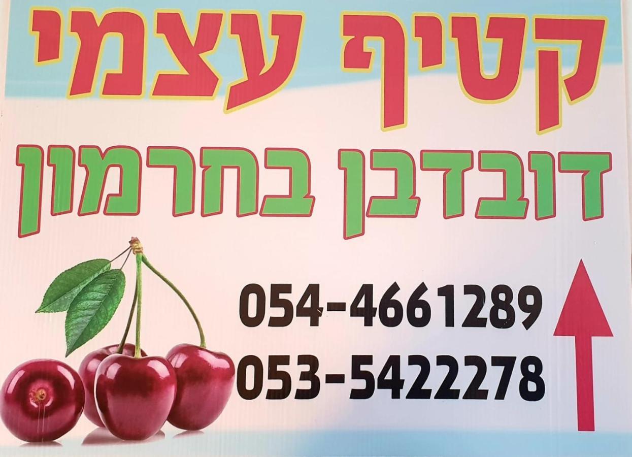 צימרים בגולן דובדבן בחרמון Mas'ada Buitenkant foto